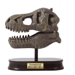 Utgrävningspaket – T-Rex