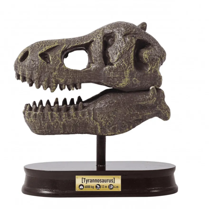 Utgrävningspaket – T-Rex