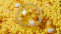 Vattenboll – Ankor på simtur