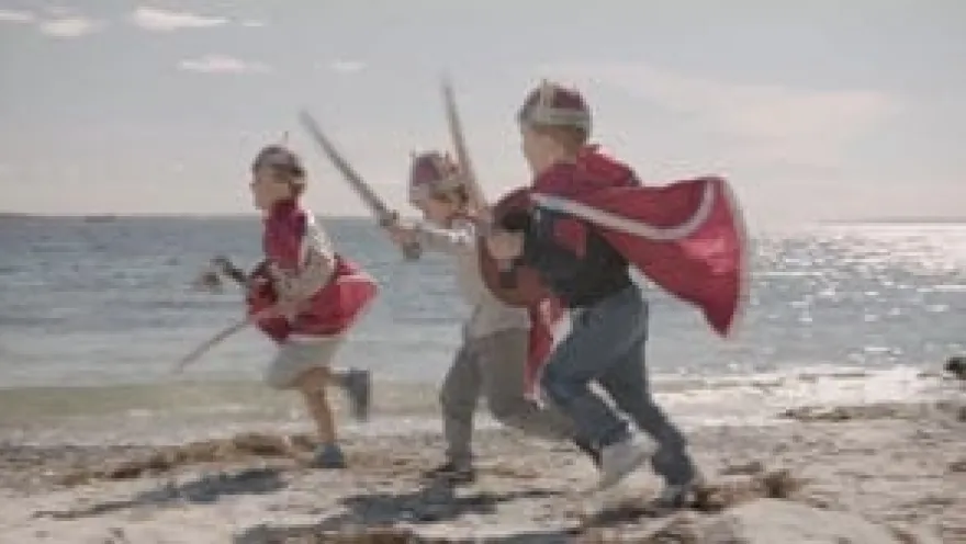 Vikingapaket – Vikingahövding Harald
