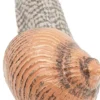 Vinbergssnäcka - L: 6 cm