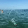 Wave Jumper-boll
